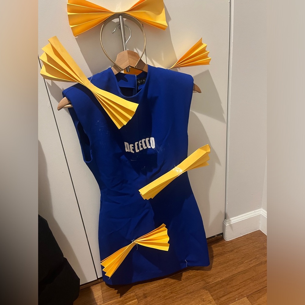 DIY halloween costume De Cecco Pasta costume